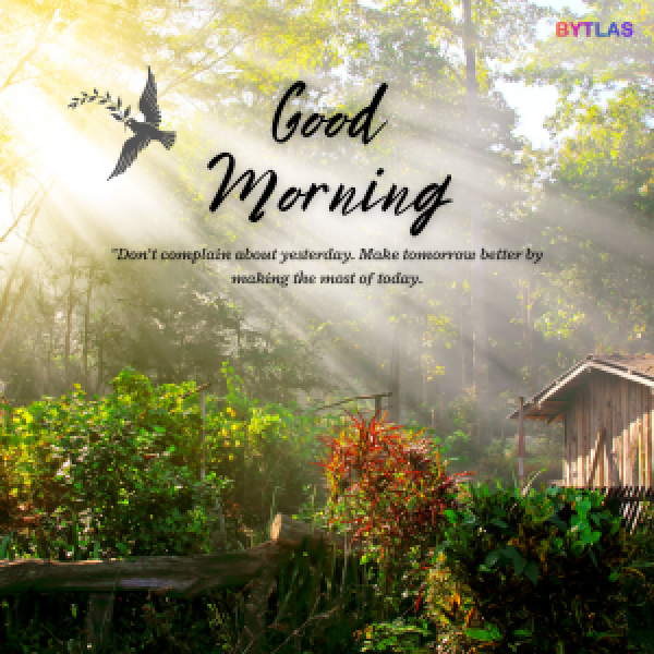 Morning
